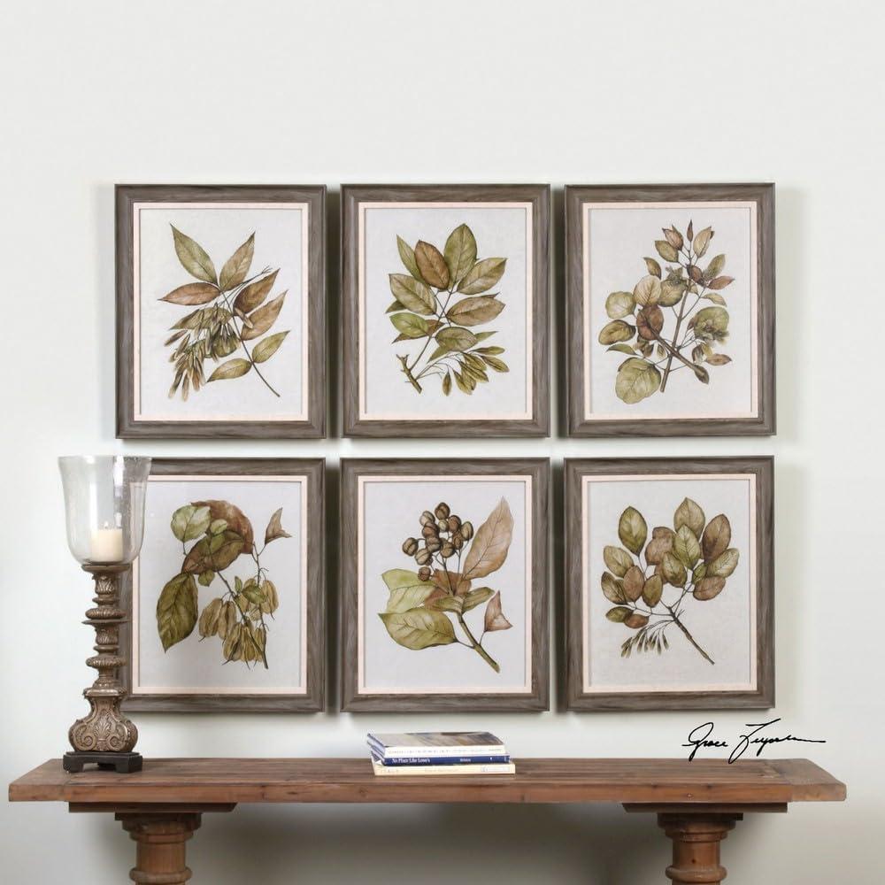 Set of 6 Gray Framed Botanical Prints with Glass