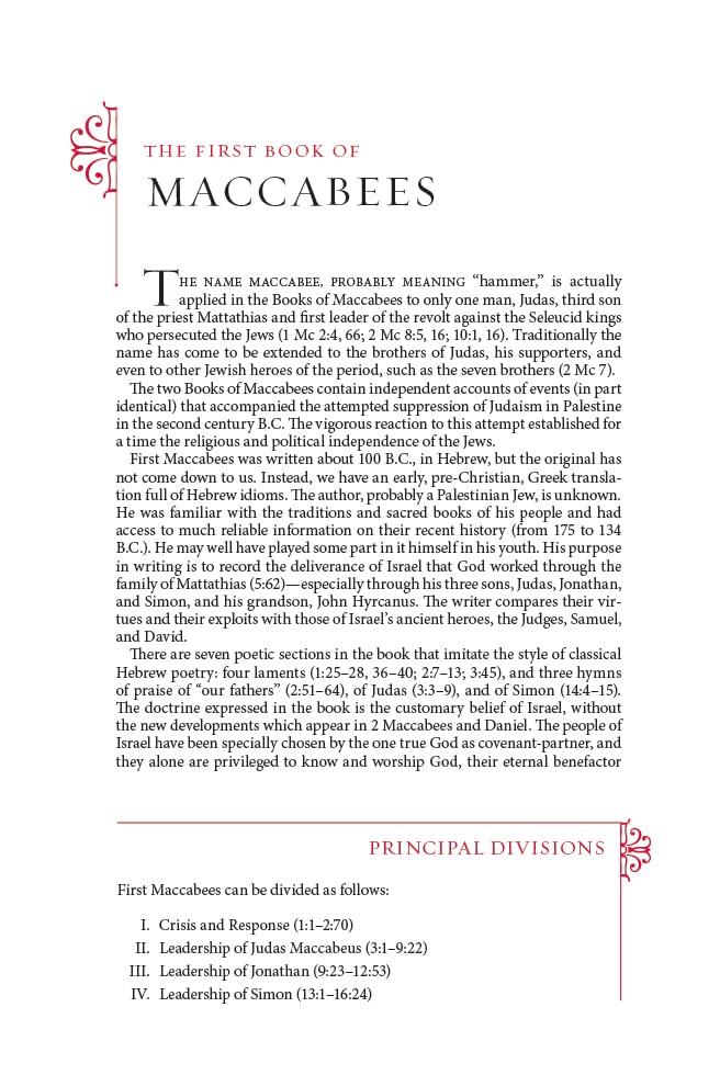 New American Bible-NABRE - by  Catholic Bible Press (Hardcover)