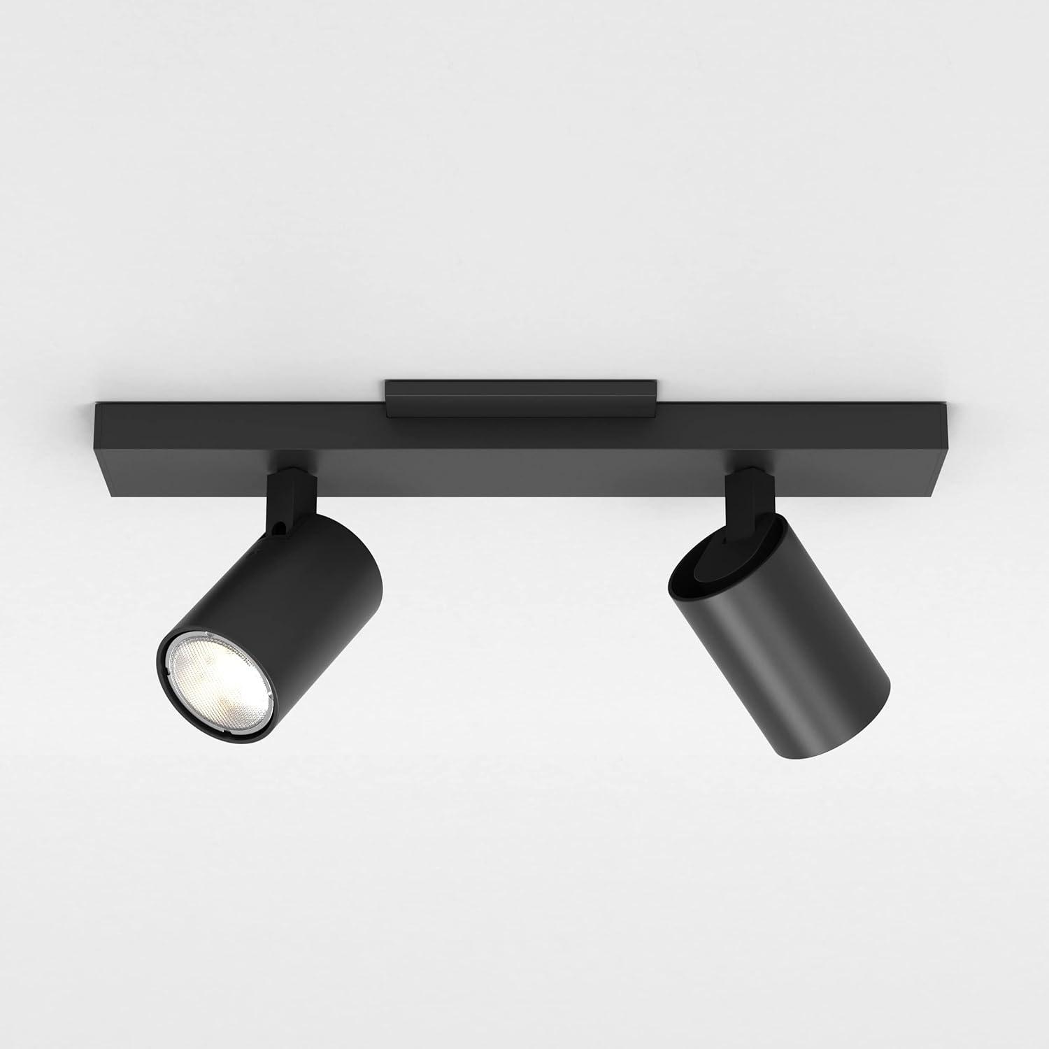 Contemporary Black Finish Adjustable LED Spotlight Flush Mount