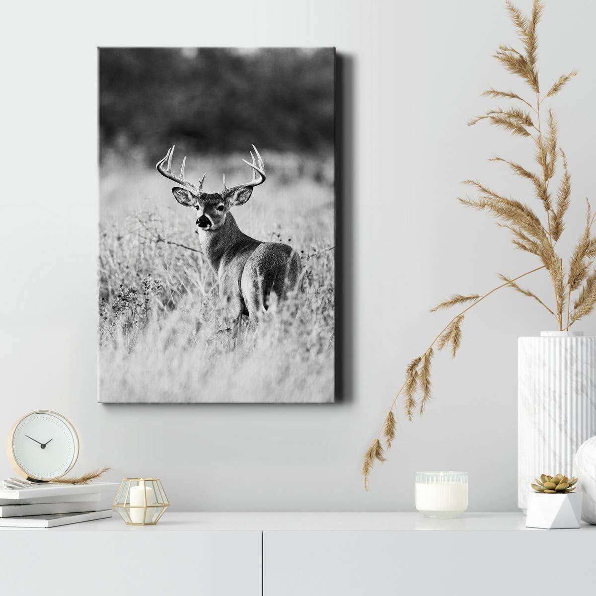 Shadudu Gallery Buck in Field Wall Art, Black & , Animal Artwork, Portrait Decor, Hunting Decorations, Premium Gallery Wrapped Canvas, Ready to Hang, 24x36in