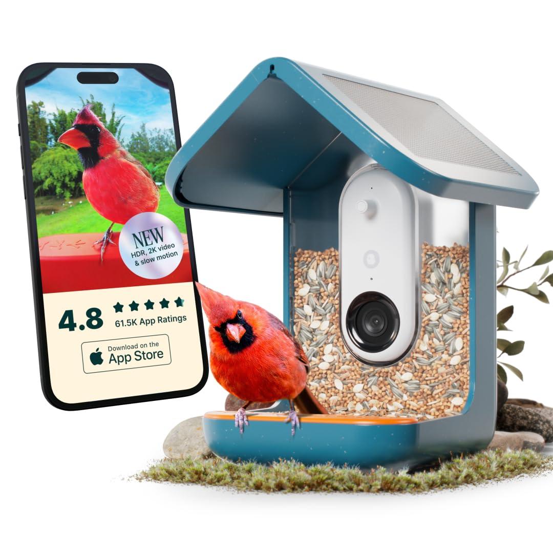 Bird Buddy Smart Bird Feeder with Camera and Solar Roof: Weather-Resistant, Hanging or Pole Mount