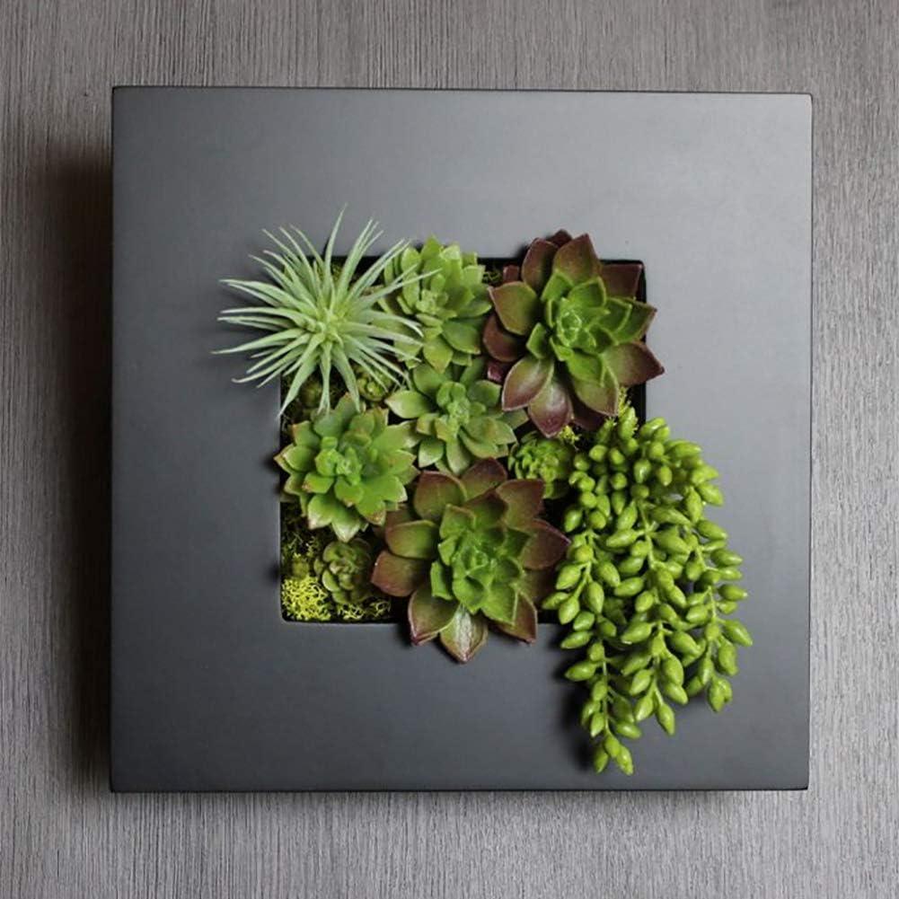 Modern Home Living Wall Galvanized Steel/Zinc Succulent Planter (Black Zinc, 4 Pocket)