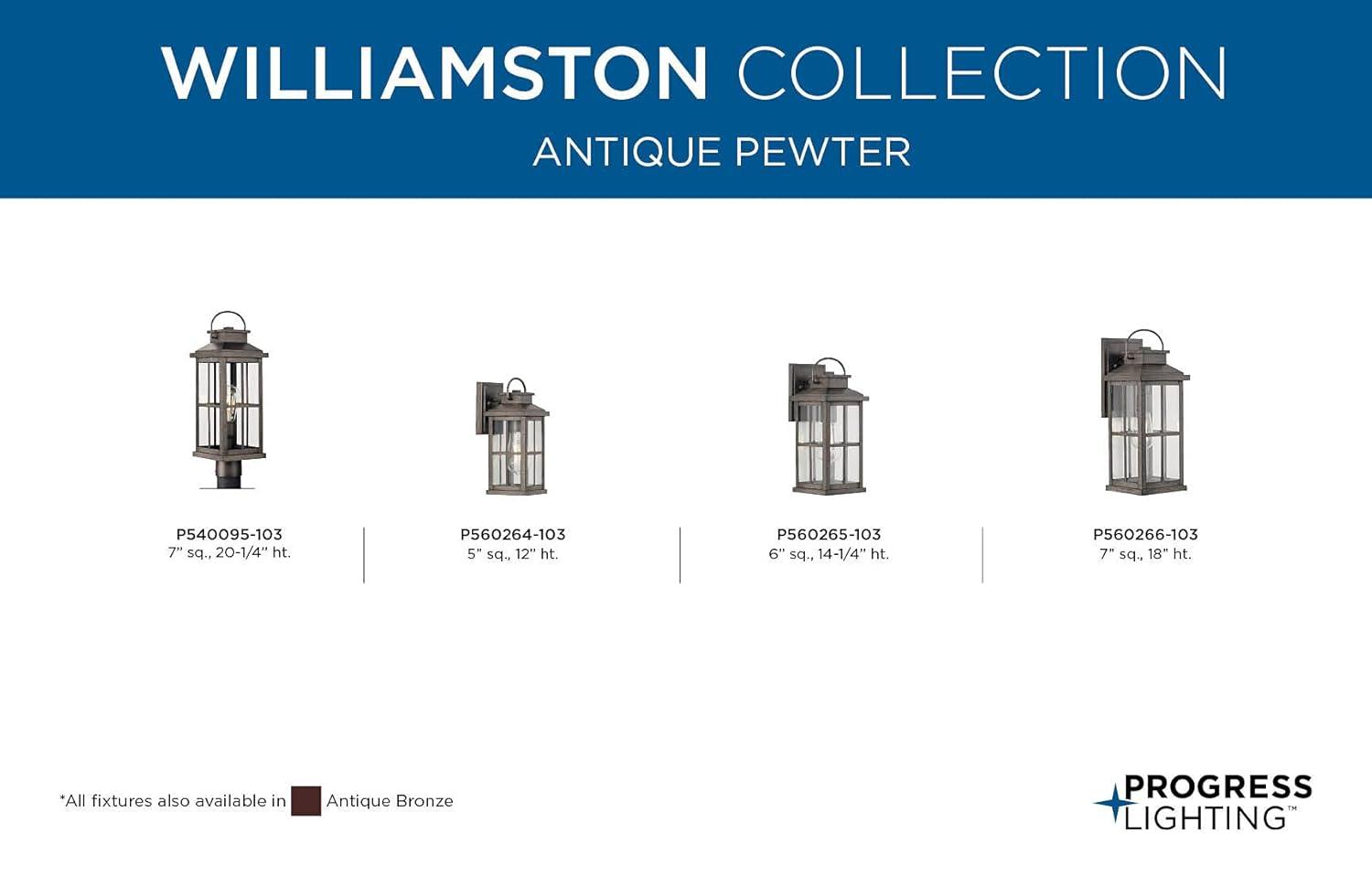 Progress Lighting Williamston 1-Light Antique Bronze Farmhouse Outdoor Large Wall Lantern with Clear Glass Shade
