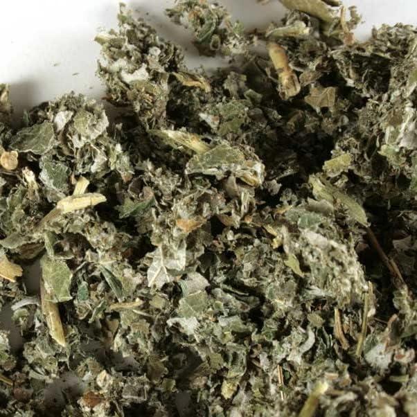 Palm Beach Herbals Raspberry Leaf Herbal Tea Bags, 30 Count