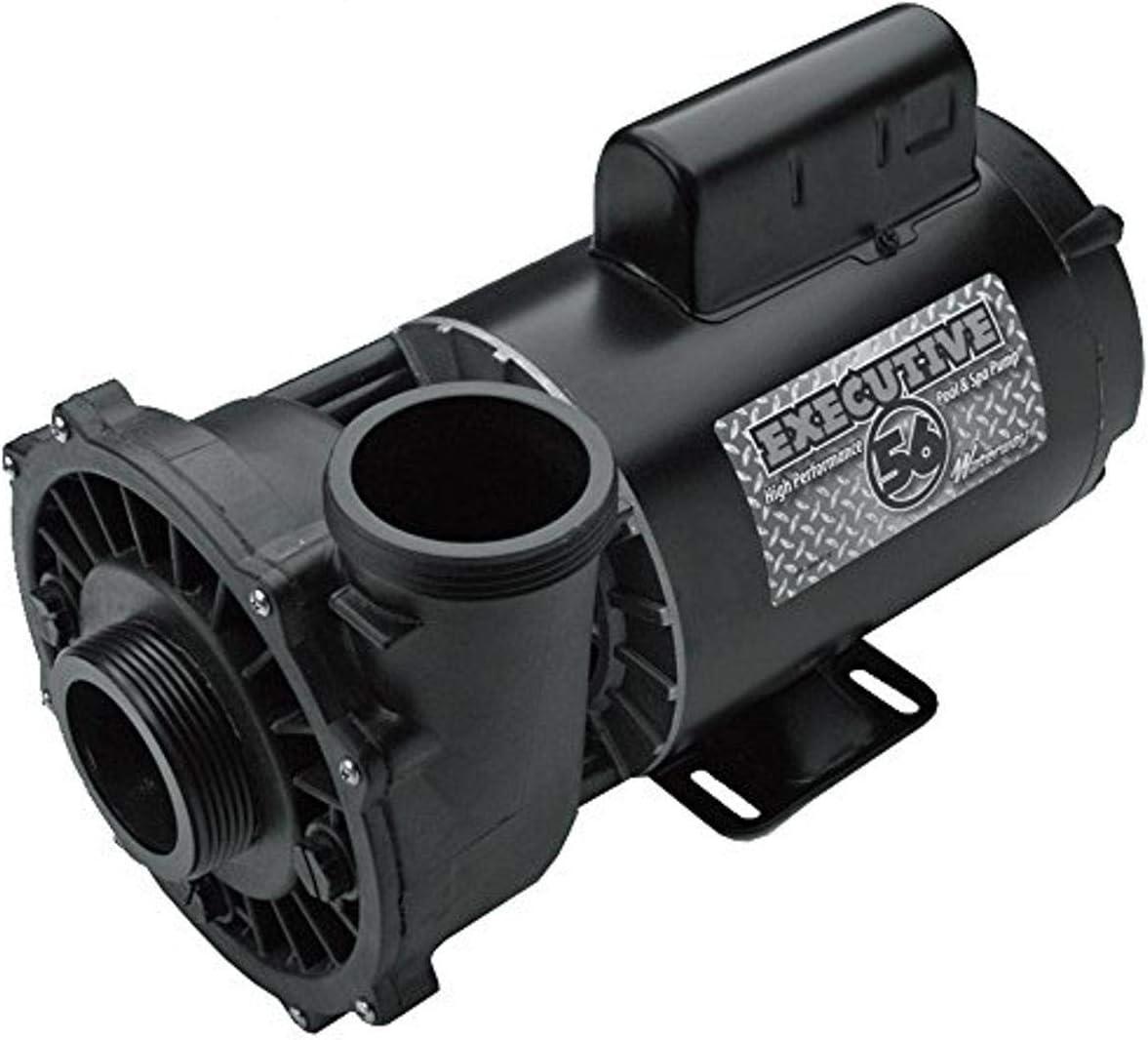 Waterway Plastics 3722021-1D Executive 56 Frame 5 hp Spa Pump, 230-volt Hot Tubs