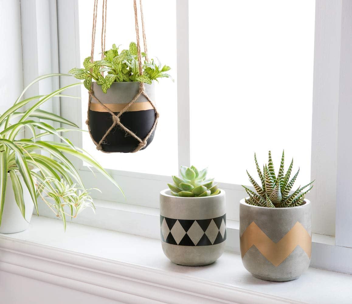 Set of 3 Modern 4-Inch Cement Succulent Planter Pots