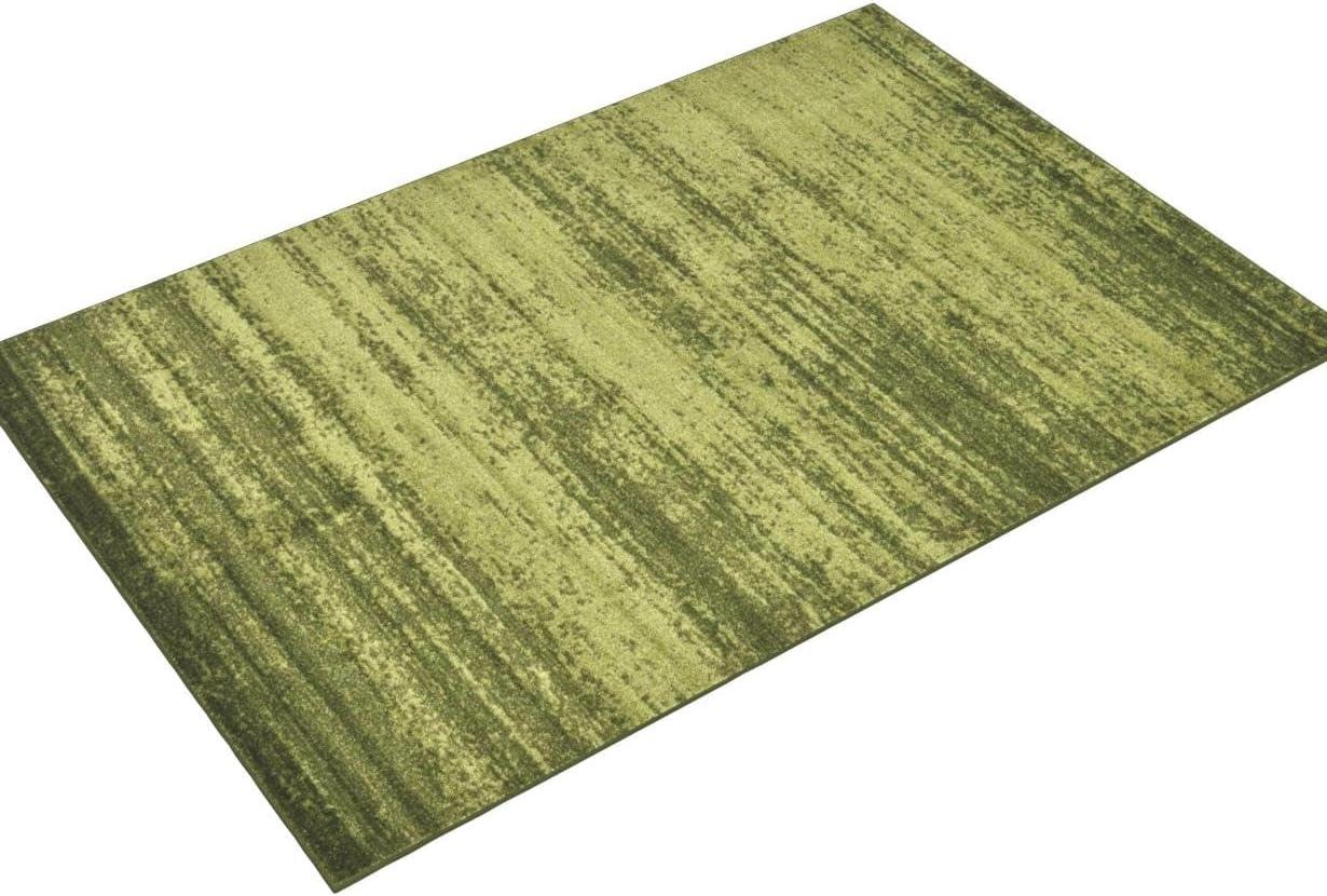 Rugs.com Angelica Collection Rug – 6' x 9' Green Medium Rug Perfect For Bedrooms, Dining Rooms, Living Rooms