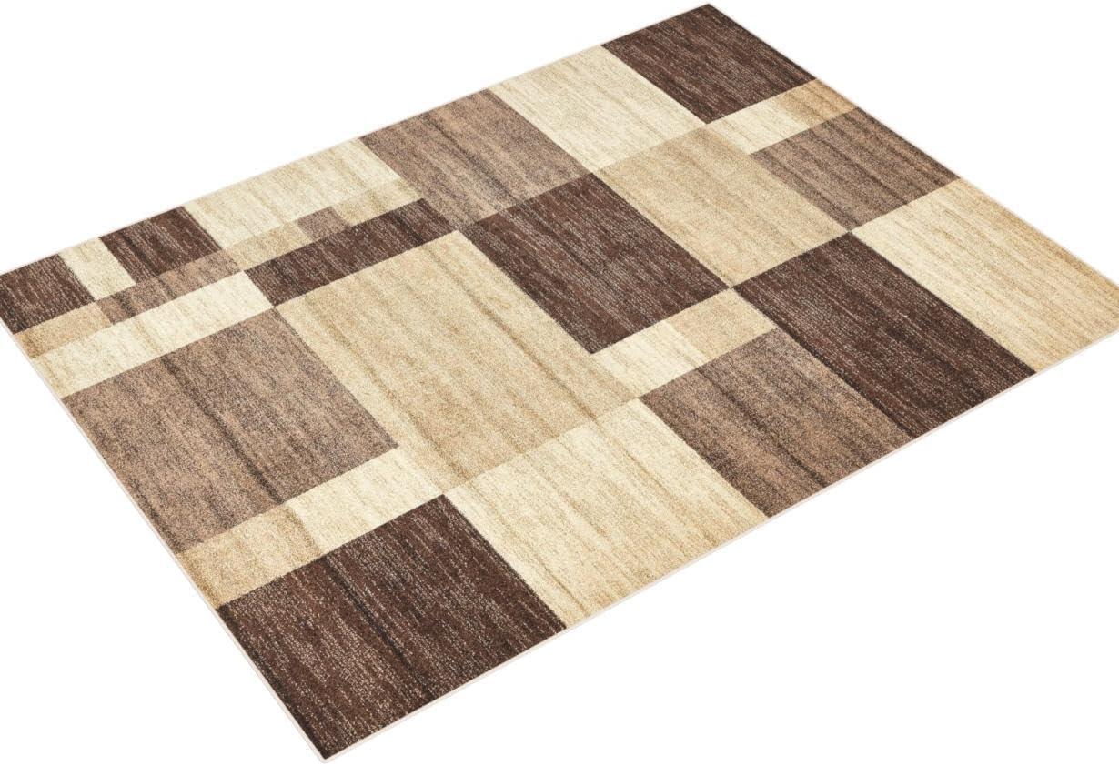 Rugs.com Equinox Collection Rug – 9' x 12' 2 Light Brown Low Rug Perfect For Living Rooms, Large Dining Rooms, Open Floorplans