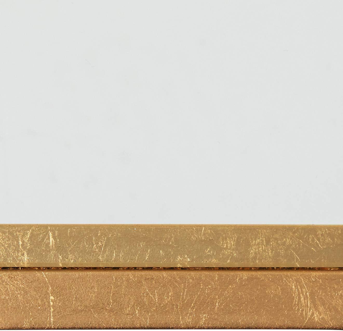 Antwan Coffee Table - Gold/Glass - Safavieh