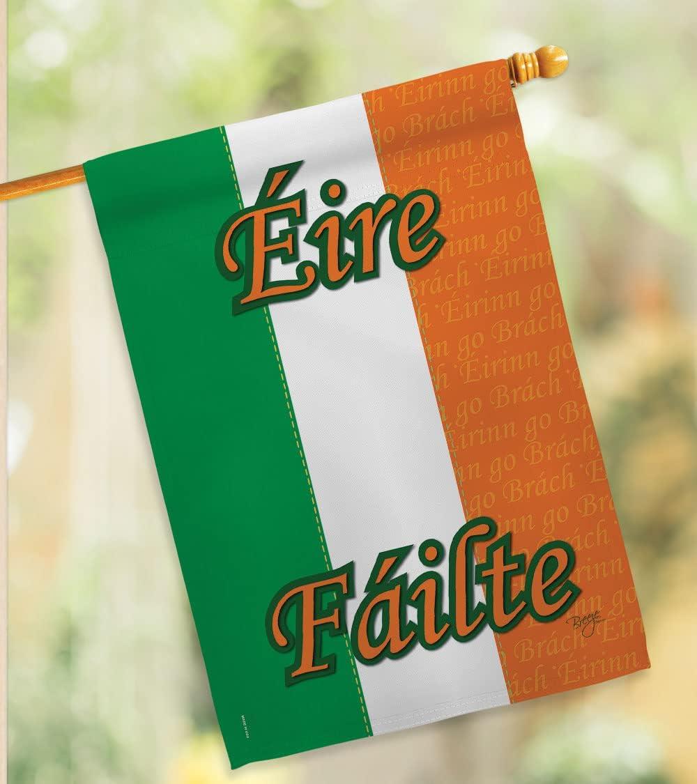 Breeze Decor 08072 Ireland 2-Sided Vertical Impression House Flag - 28 x 40 in.