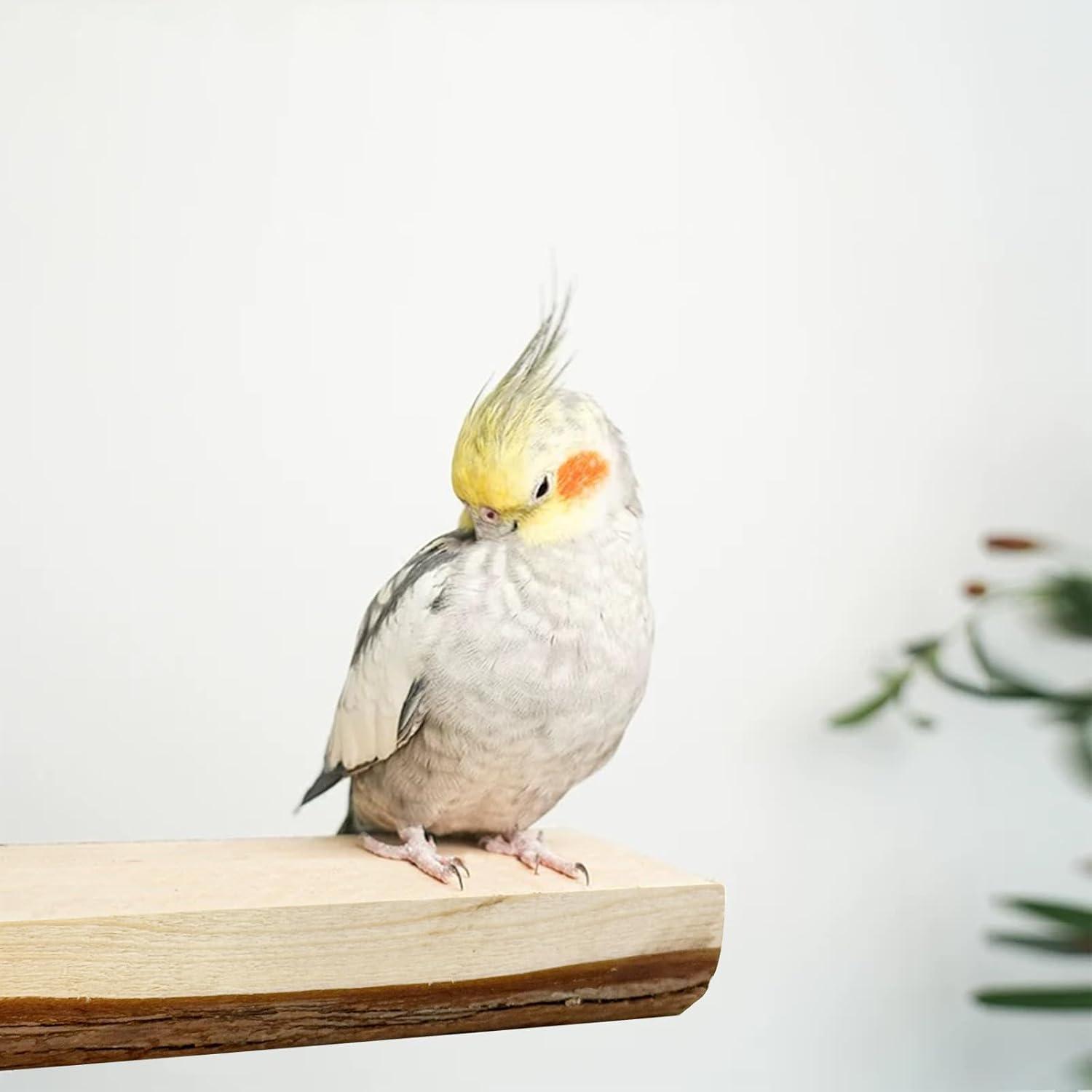 Allazone Natural Wooden Bird Perch Stand for Cage, Parrot Platform, Bird Perch Toy for Small Animals, Cockatiels, Parakeets, Finches