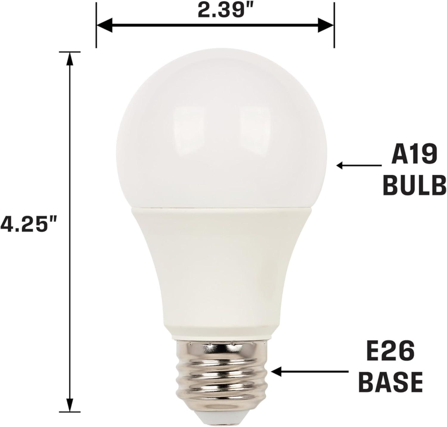 Bright White Frosted LED Light Bulb, Medium Base, 2 Pack