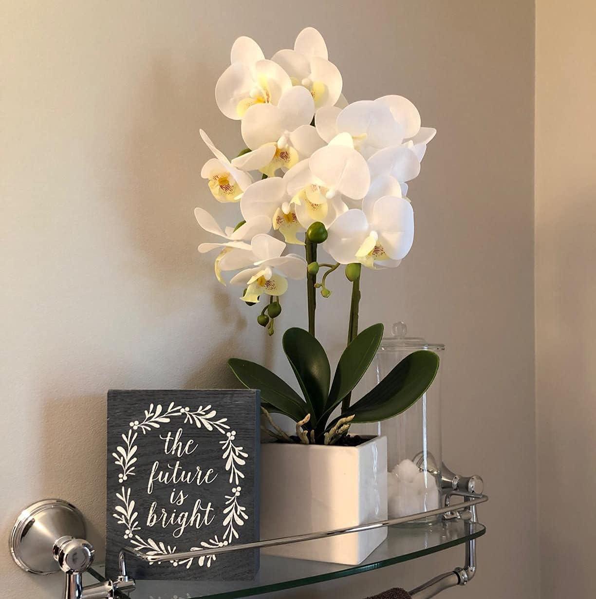 White Silk Orchid Bonsai in Ceramic Pot