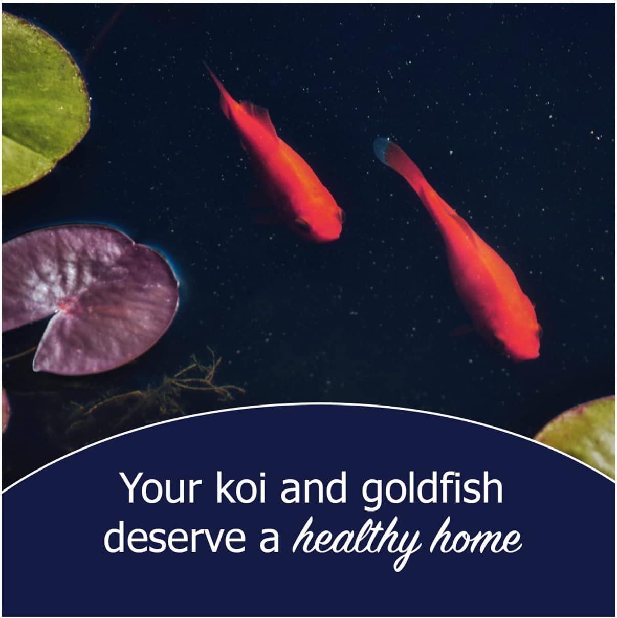 Natural Waterscapes Pond Remedy | Koi Pond Cleaning Packets | Treats up to 16,000 gallons