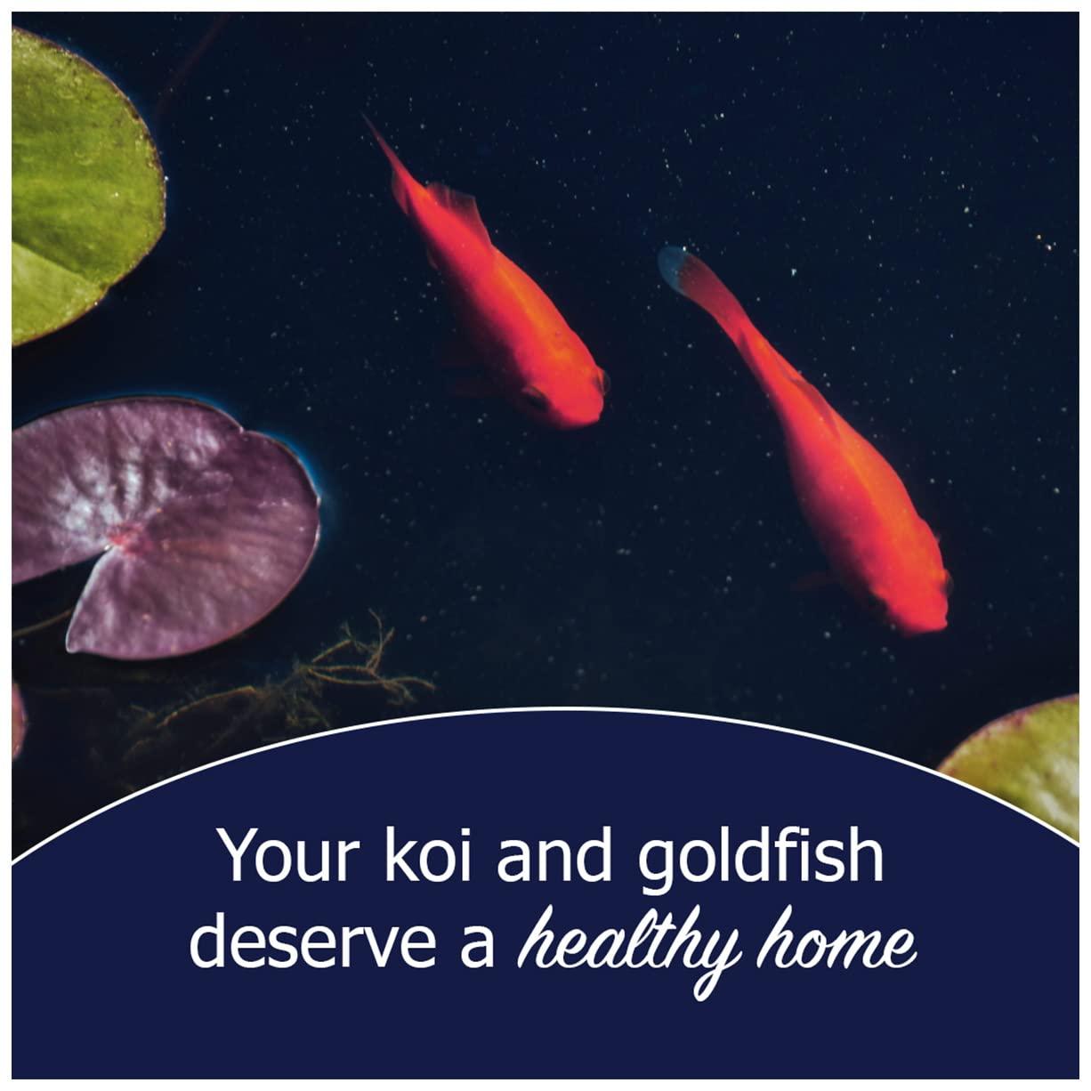 Natural Waterscapes Pond Remedy | Koi Pond Cleaning Packets | Treats up to 16,000 gallons