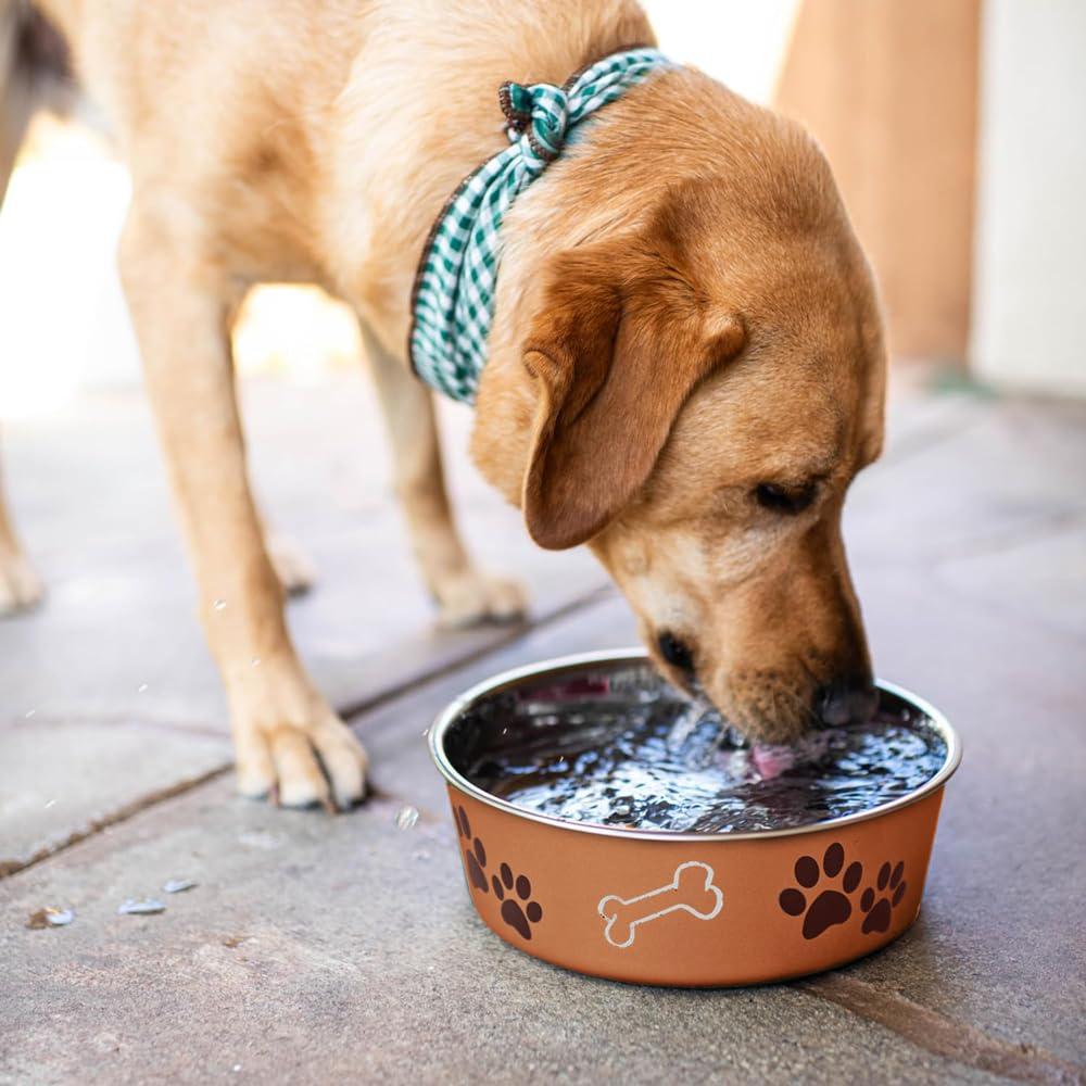 Stainless Steel Dog Dish Fun Print Feeding Bowls Non Slip Rubber Base (Medium - Copper)