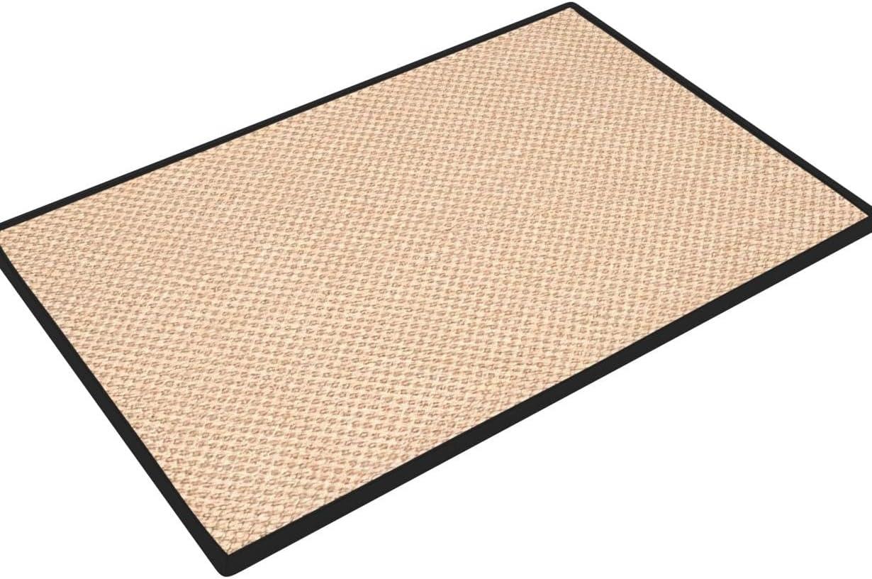 Trinidad Natural Fiber Sisal Pile Solid Color Rug