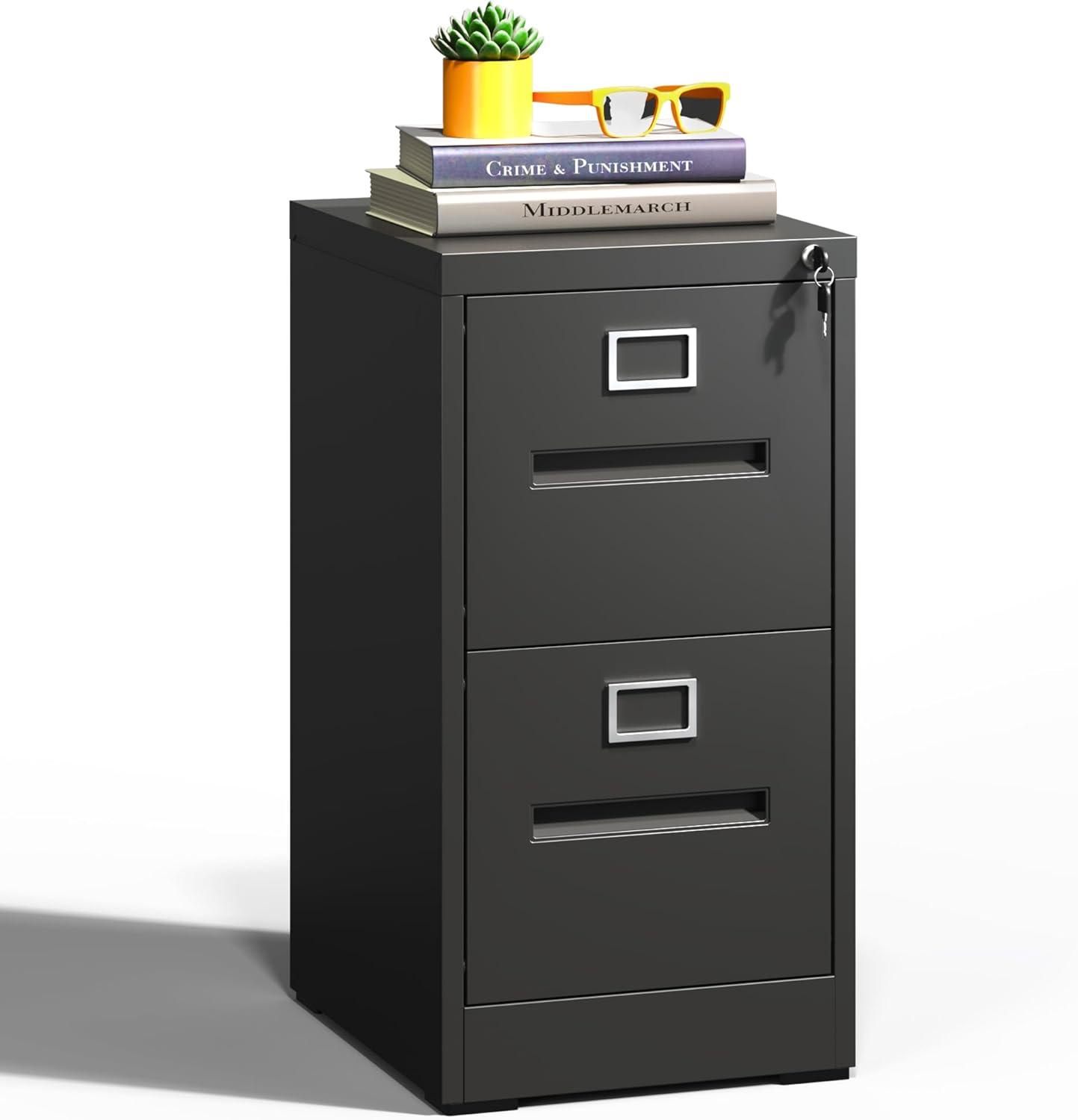 2 Drawer Metal Vertical File Cabinet with Lock for Home Office, A4/Letter/Legal Size, Assembly Required