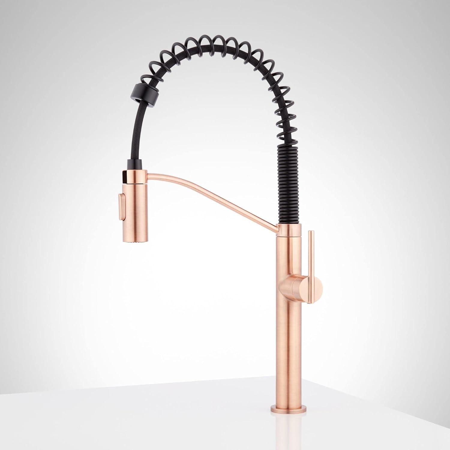 Matte Black Single Handle Pull-Down Kitchen Faucet with Spray
