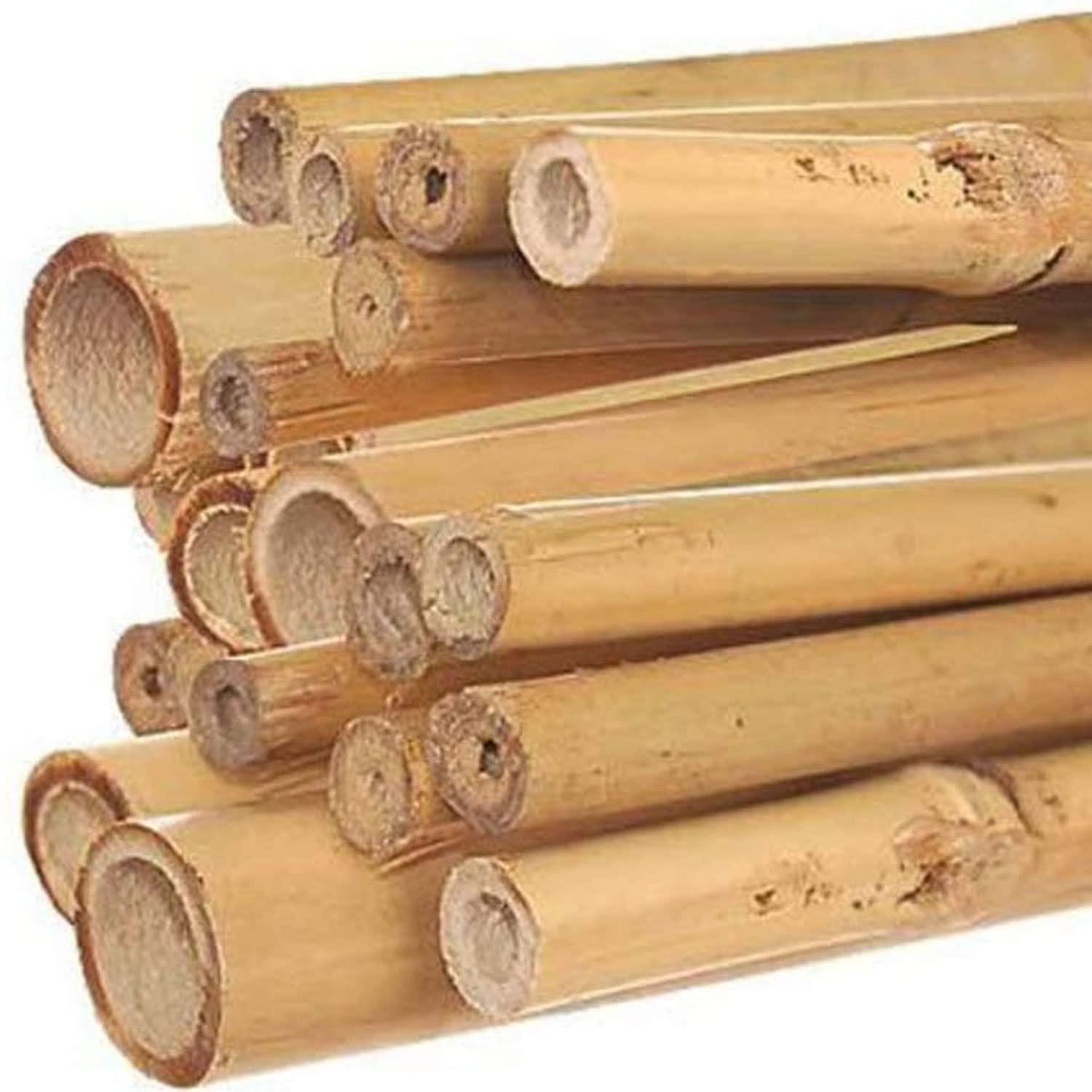 GROW!T 6' Bamboo Stakes, pack of 25