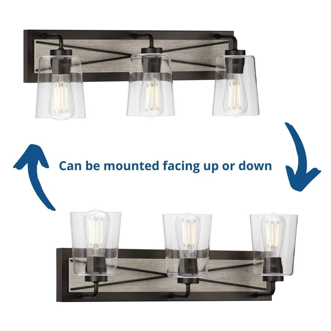 Progress Lighting Briarwood 3-Light Bath Vanity in Graphite with Clear Glass Shades