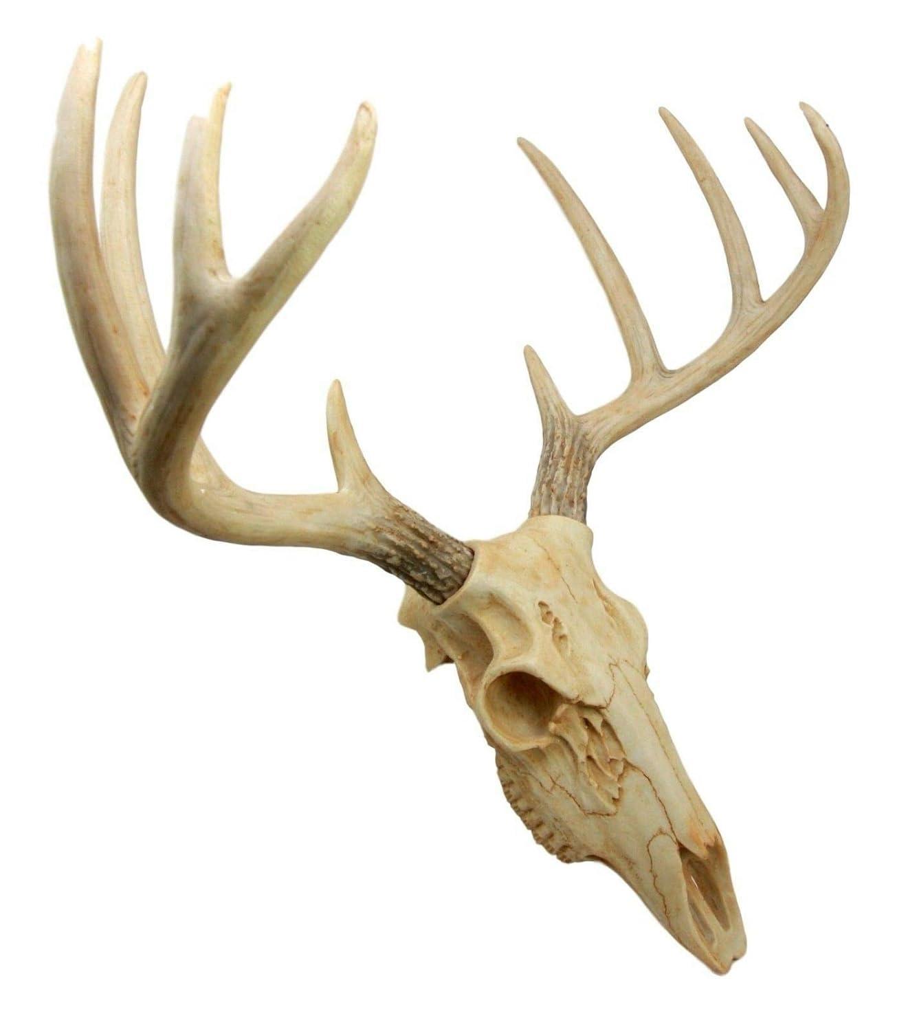 Ebros Gift Rustic Hunter Deer 10 Point Buck Skull Trophy Antlers Wall Mounted Plaque Decor Figurine 14.25" Long Hunter's Antler Rack Theme Deer Buck Hunting Skulls Trophies Hanging Sculpture
