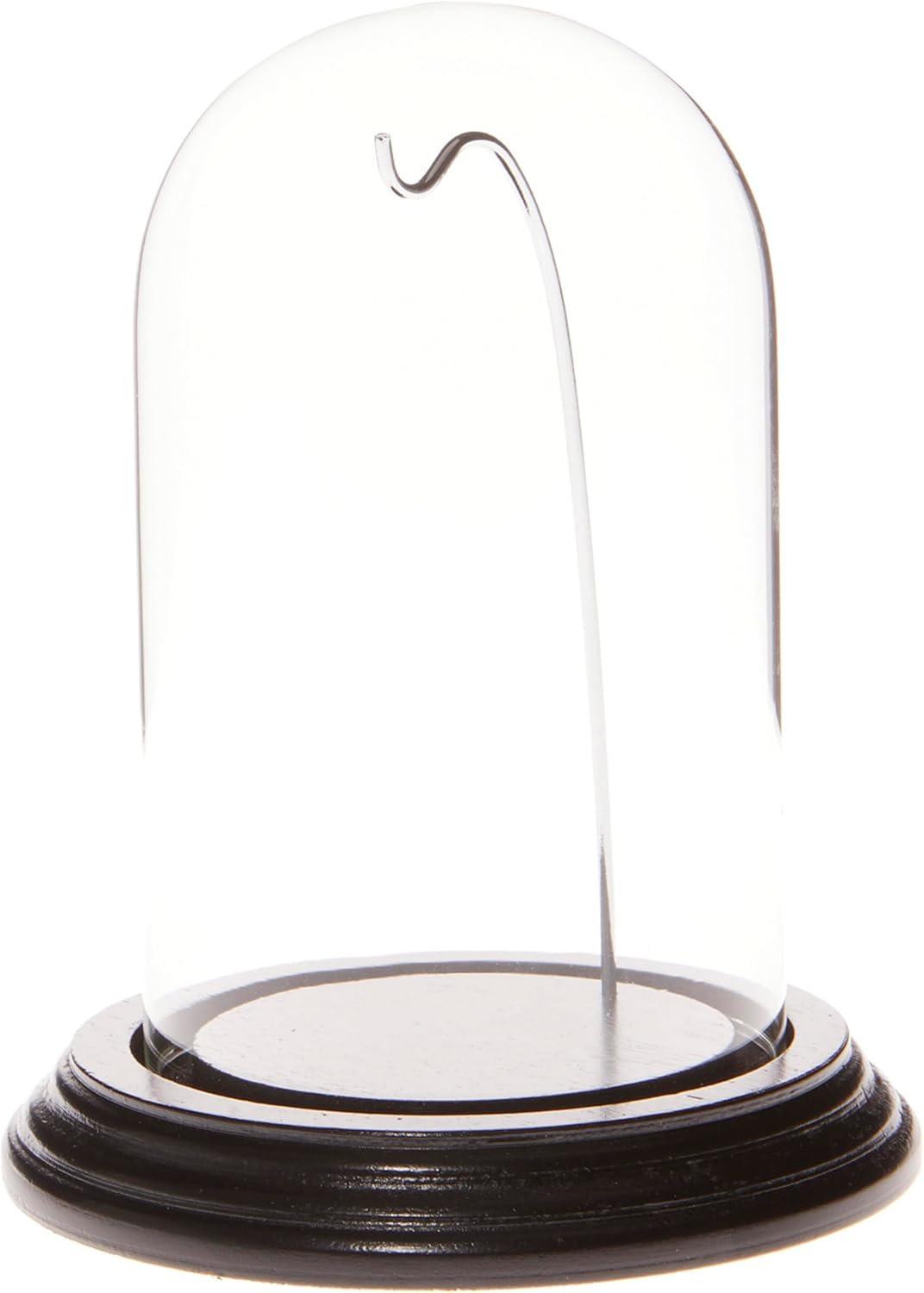 Silver and Black Glass Display Dome with Wood Base