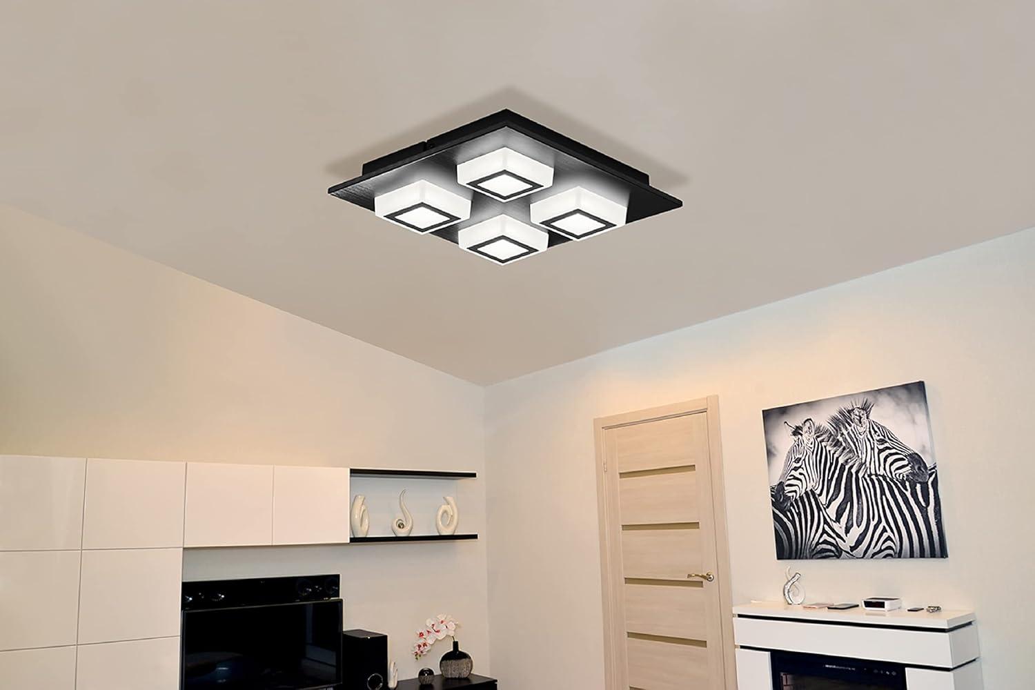 Masiano Black and White Aluminum LED Ceiling Light