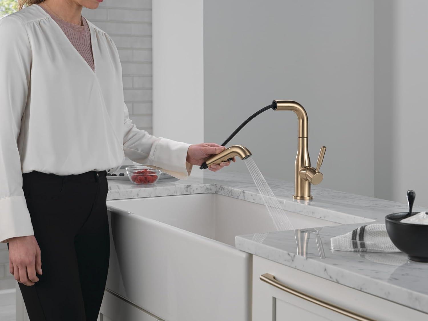 Delta Almari Pull-Out Sprayer Kitchen Faucet, Single Handle Kitchen Sink Faucet 16943-CZ-DST