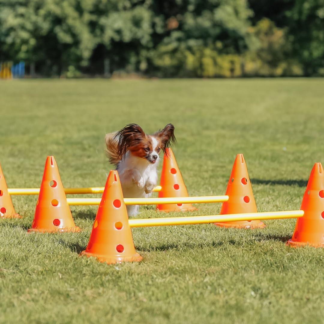 TRIXIE Dog Agility Hurdle Cone Set, Portable Canine Agility Training Set, 6 Exercise Cones with 3 Agility Rods