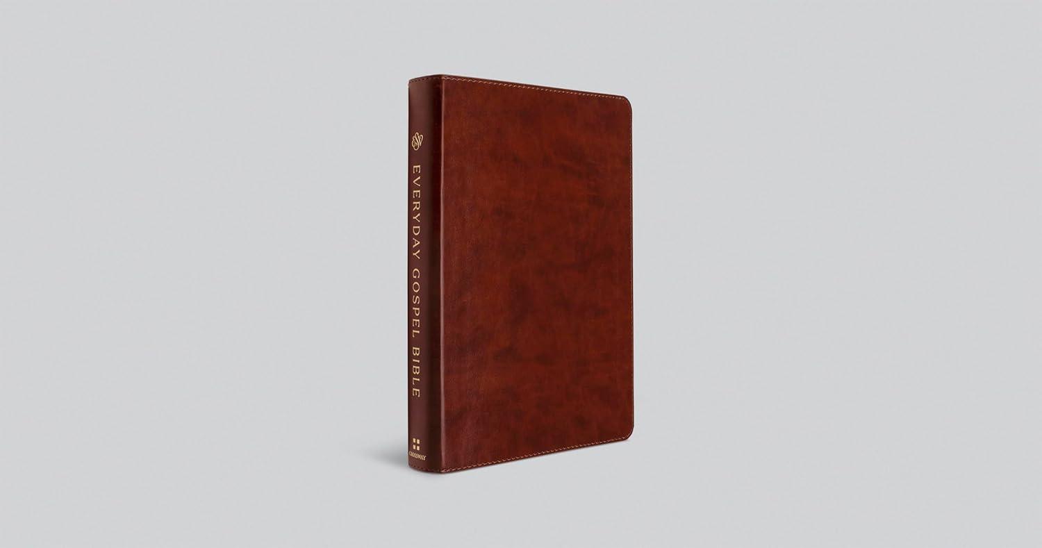 ESV Everyday Gospel Bible - (Leather Bound)