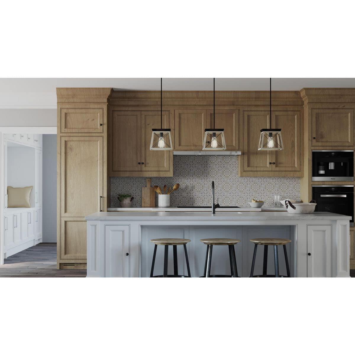 Progress Lighting Briarwood 1-Light Mini-Pendant, Steel, Graphite Finish, Faux-Painted Wood Enclosure