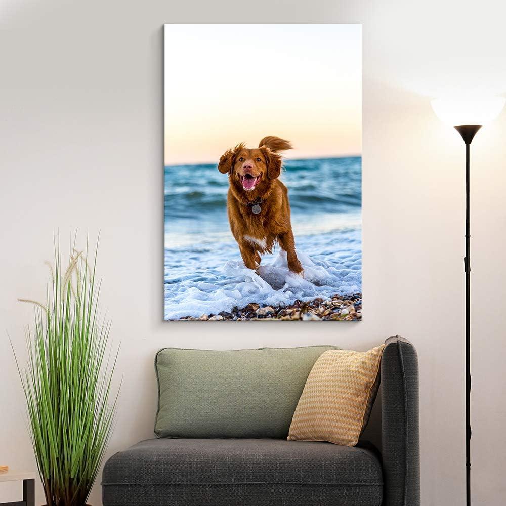 NWT Custom Canvas Prints with Your Photos for Pet/Animal, Personalized Pictures to Canvas for Wall Framed 10x8 inches