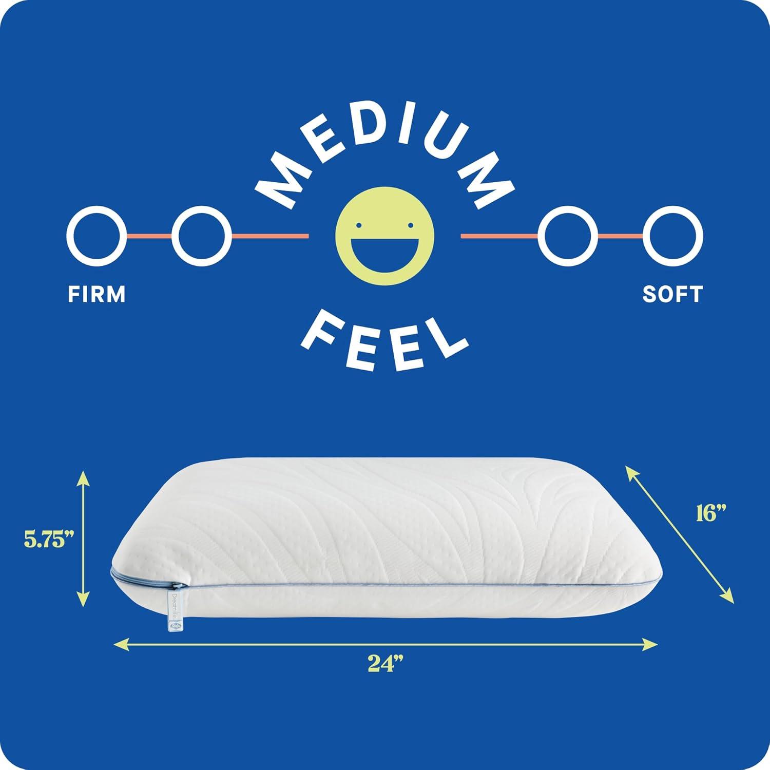 Sealy Dreamlife Memory Foam Pillow