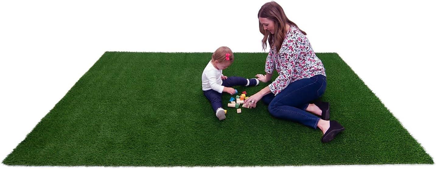 Joy Carpets Joy Carpets Greenspace Indoor/Outdoor Area Rug