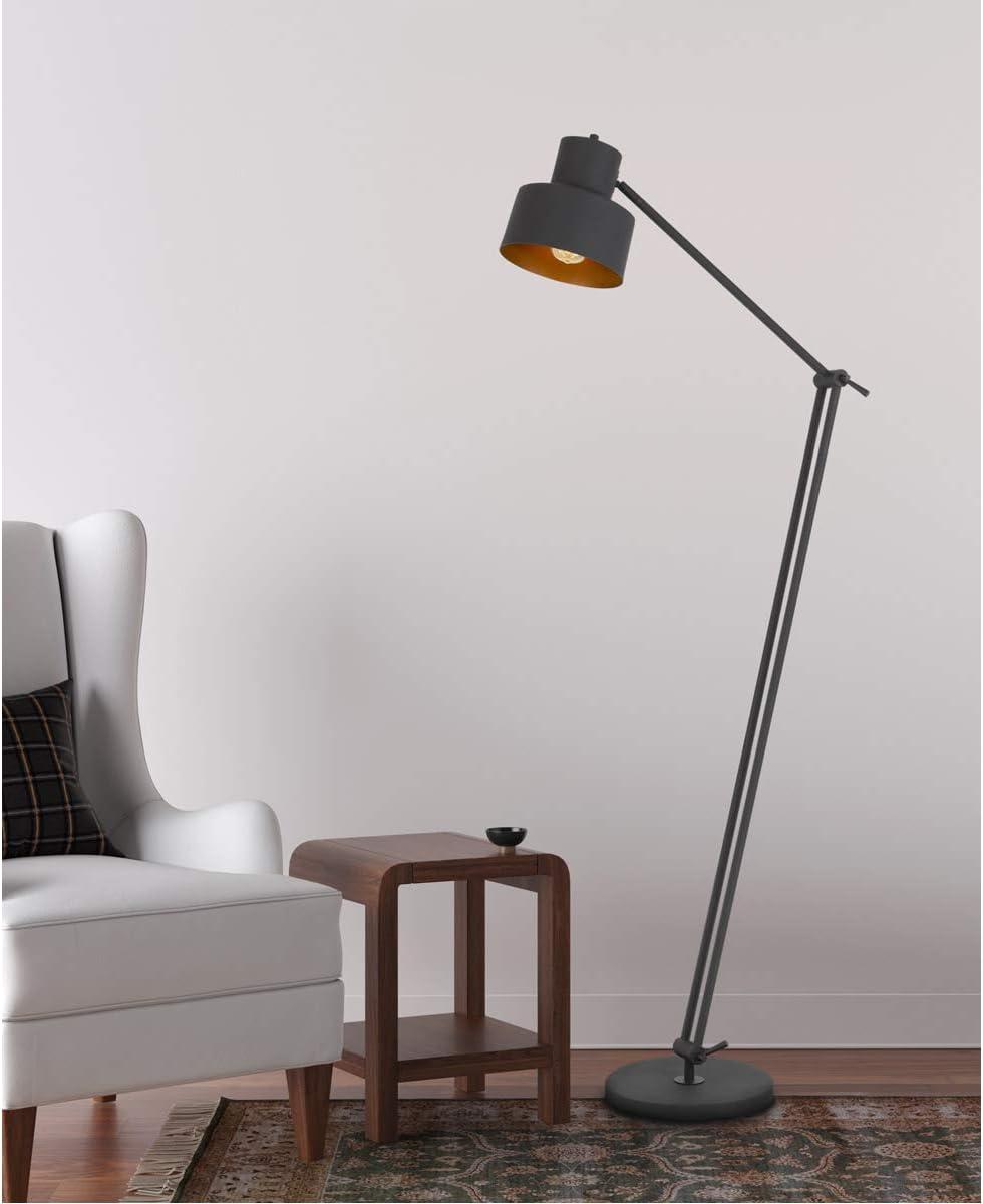 Davidson Adjustable Matte Black Metal Floor Lamp with Circular Shade