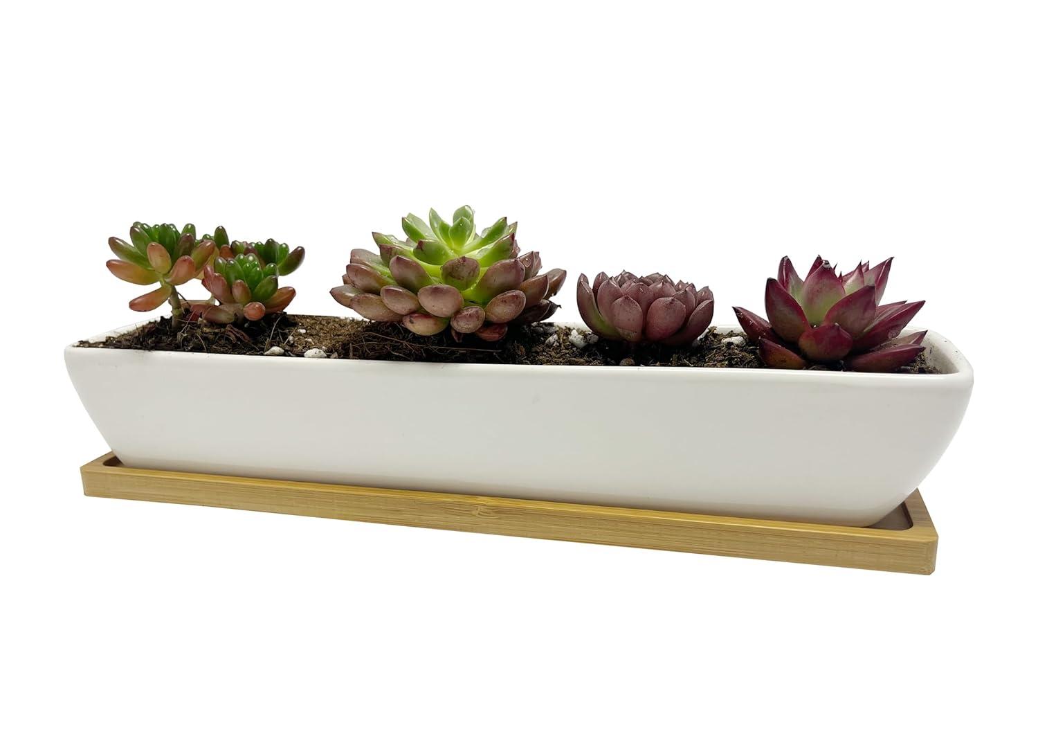 Kipokalor Rectangular Long Succulent Planter Pot,1 Set 11.1x2.36x1.77inch Long Modern Minimalist White Ceramic with Saucer for Office,Desk,Window.