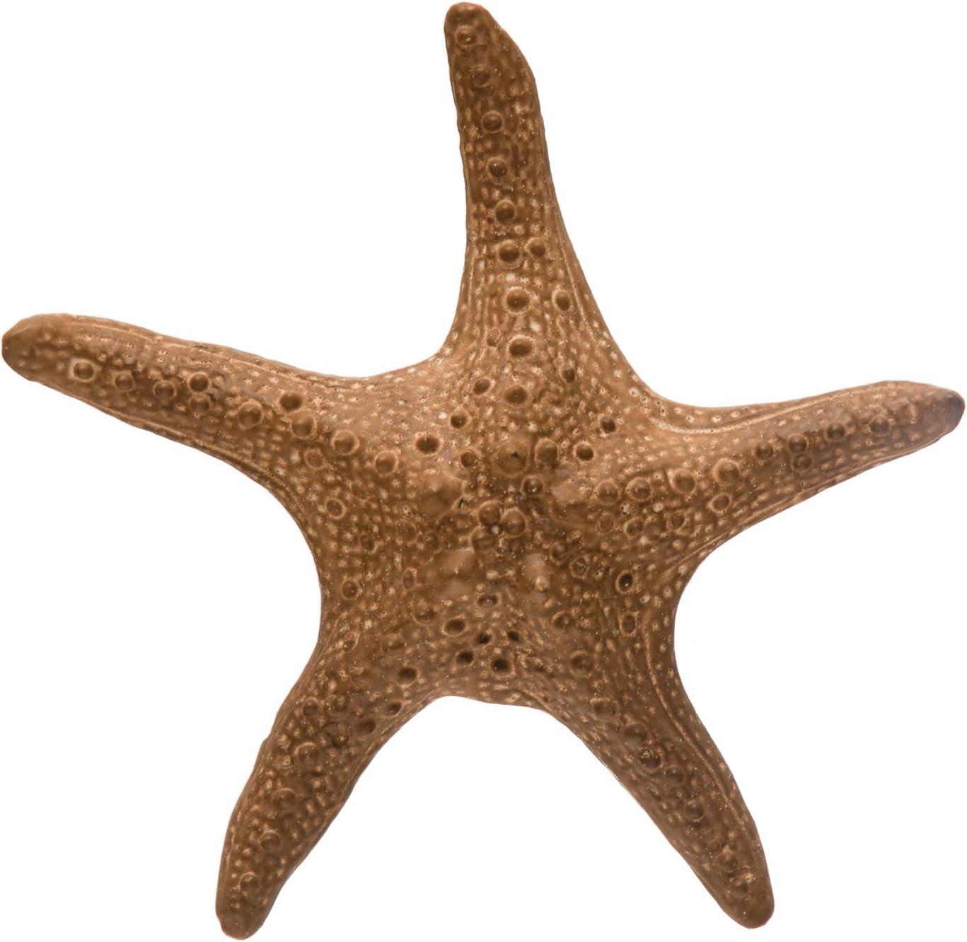 Creative Co-Op Decorative Stoneware Starfish, Brown