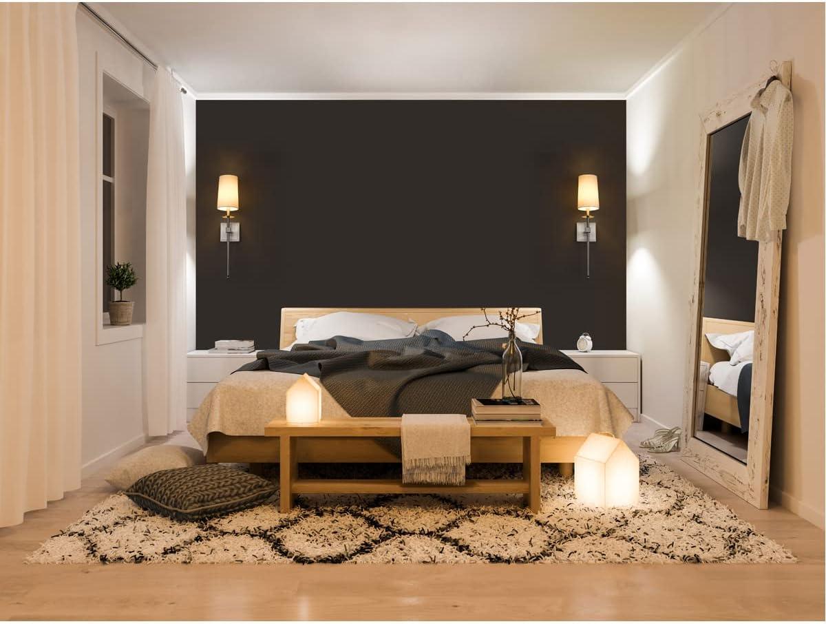 Z-Lite Camila 1 - Light Wall Light in  Brushed Nickel