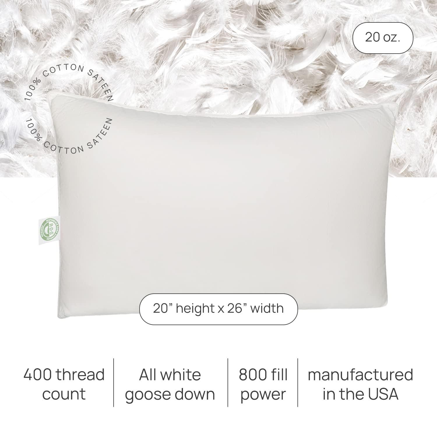 East Coast Bedding Down Medium Pillow (Set of 2)