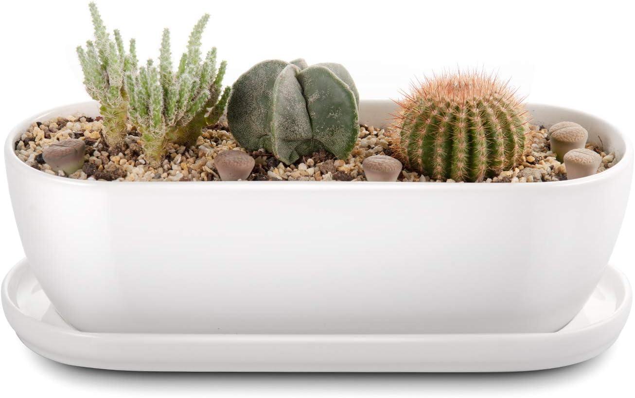 White Oval Ceramic Planter with Drainage Hole and Tray