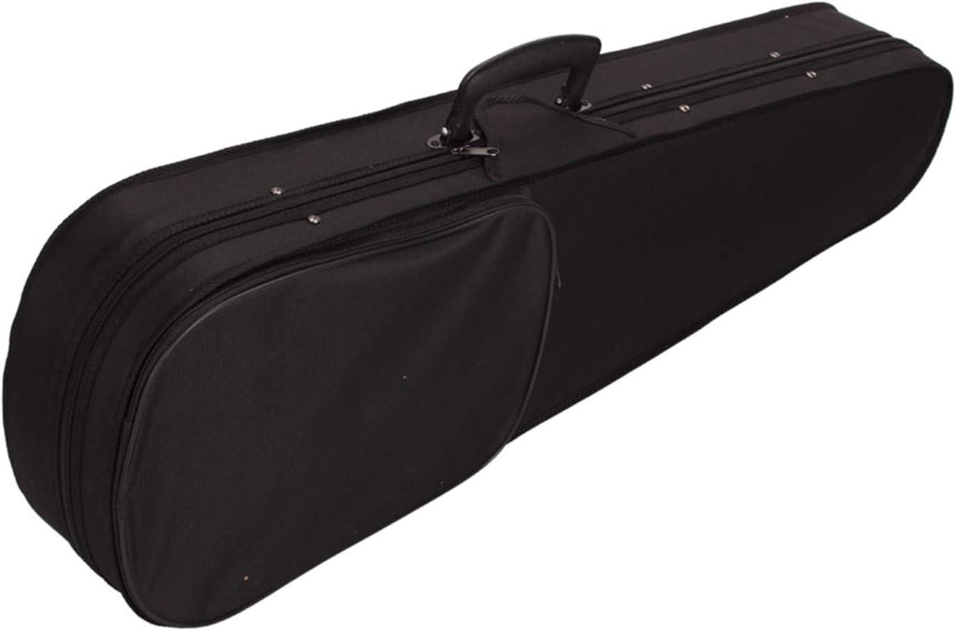 4/4 Acoustic Violin Set,Beginner Violin Vintage Solid Wood Violin Starter Kit with Carrying Case,Bow and Rosin (Natural)