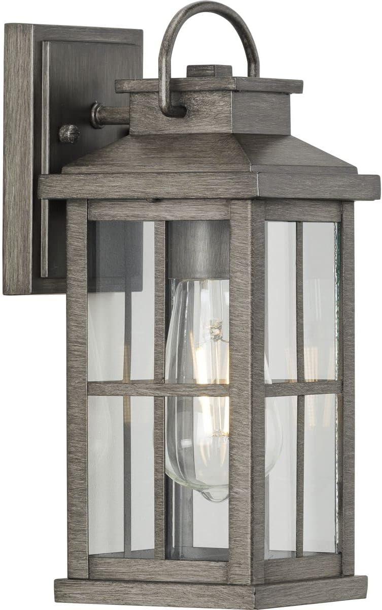 Progress Lighting Williamston 1-Light Antique Bronze Farmhouse Outdoor Large Wall Lantern with Clear Glass Shade