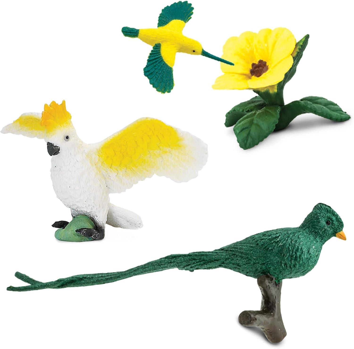 Safari Ltd. Exotic Birds TOOB - 10 Figurines: Parakeet, Quetzal, Macaw, Hummingbird, Toucan, Cockatoo, Flamingo, Snowy Owl, Parrot - Educational Toy Figures For Boys, Girls & Kids Ages 3+