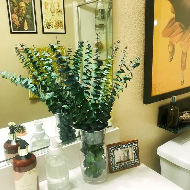 20Pcs Dried Eucalyptus Stems, Trianu 17" Natural Fresh Eucalyptus Branches for Shower, Real Plant for Vase Filler, Dried Flowers Arrangement, Floral Home Decor, Green