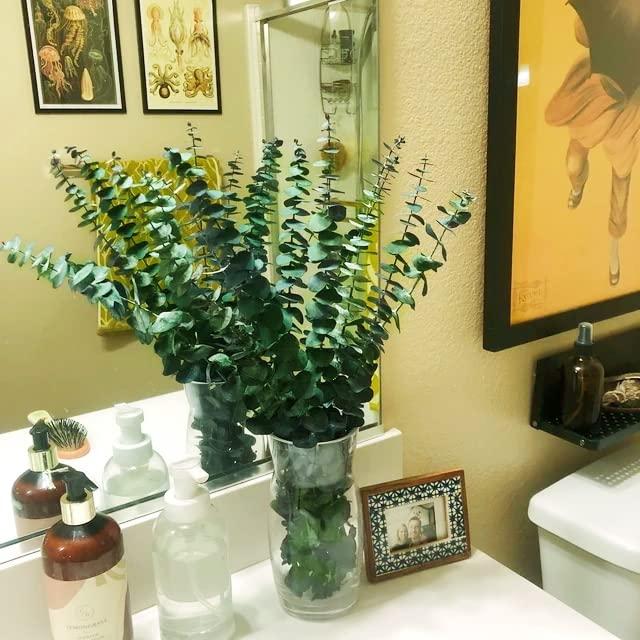 20Pcs Dried Eucalyptus Stems, Trianu 17" Natural Fresh Eucalyptus Branches for Shower, Real Plant for Vase Filler, Dried Flowers Arrangement, Floral Home Decor, Green