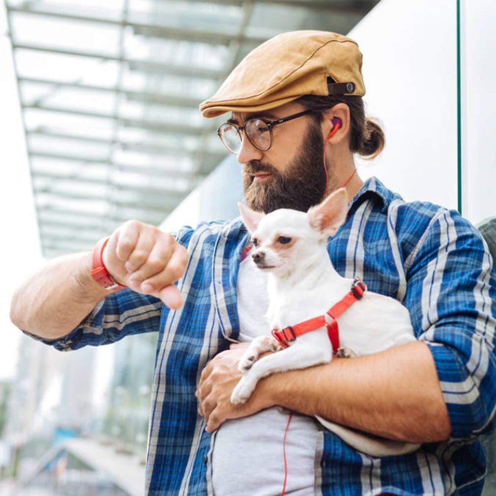 BestPet Foldable Pet Jogger Stroller