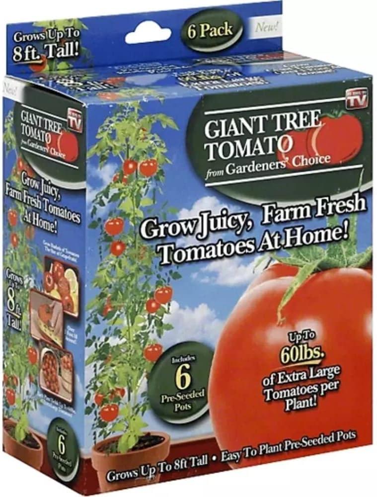 Gardener's Choice Tomate de Árbol Gigante Incluye 6 Macetas Presembradas