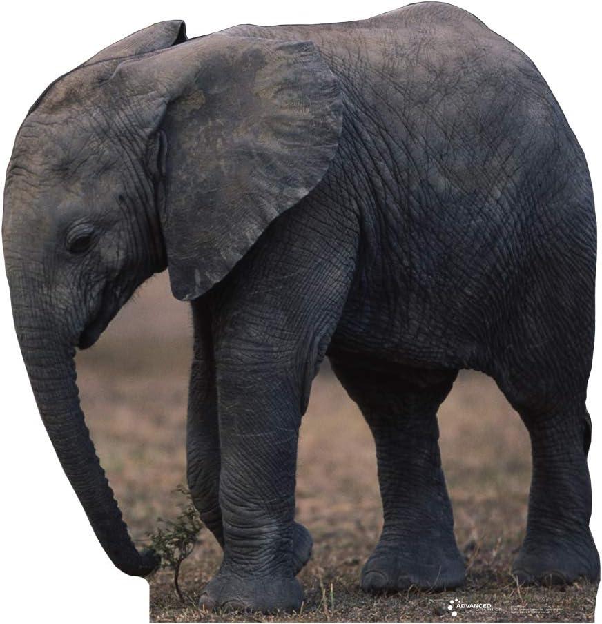Advanced Graphics Animals 55'' Animals Cardboard Standup