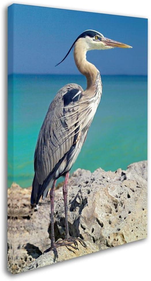 Trademark Fine Art -Mike Jones Photo 'Blue Heron' Canvas Art